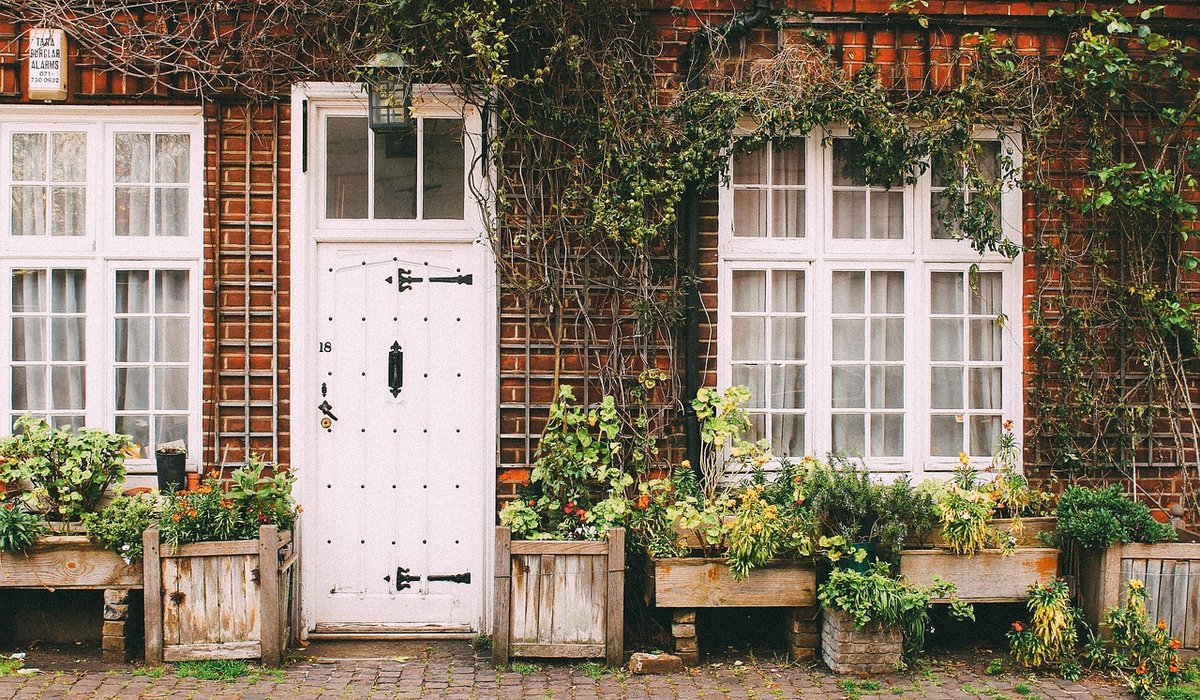 Summer Watering Routine for Busy Gardeners